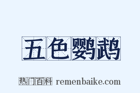 五色鹦鹉是什么意思的图片